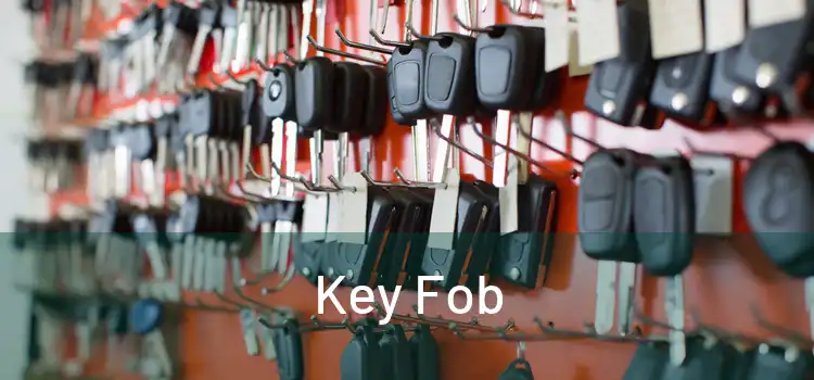  Key Fob 