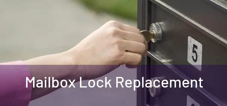  Mailbox Lock Replacement 